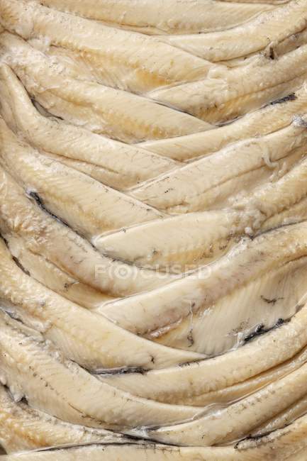 Anchovy fillets in oil — Stock Photo