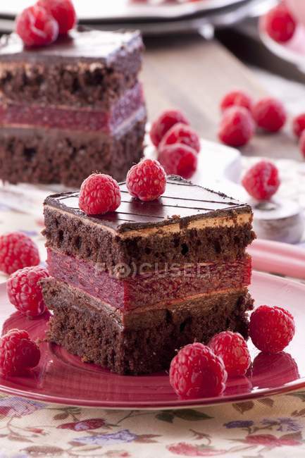Gâteau au chocolat éponge — Photo de stock