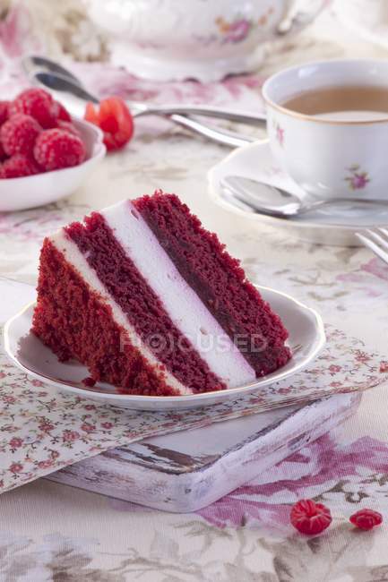 Slice of chocolate sponge cake — Stock Photo