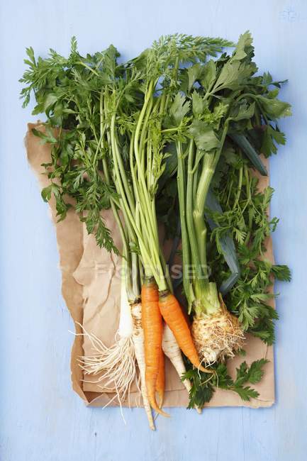 Young soup vegetables on a piece of paper over blue surface — Stock Photo