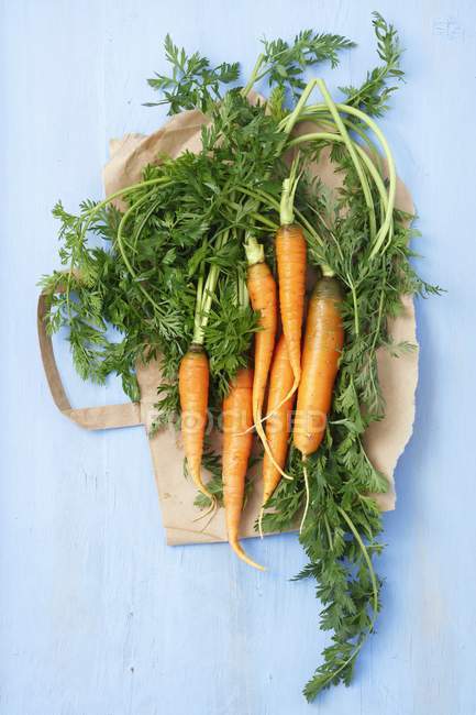 Young carrots on paper — Stock Photo