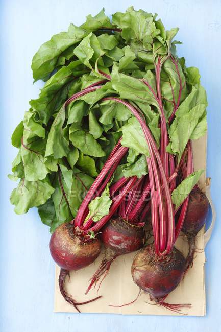 Fresh beetroots with leaves — Stock Photo