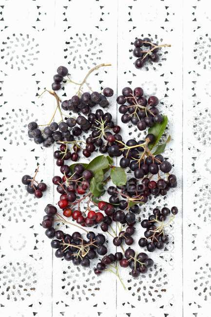 Fresh Aronia berries with leaves — Stock Photo