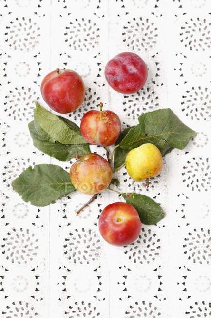 Prunes fraîches cueillies avec des feuilles — Photo de stock