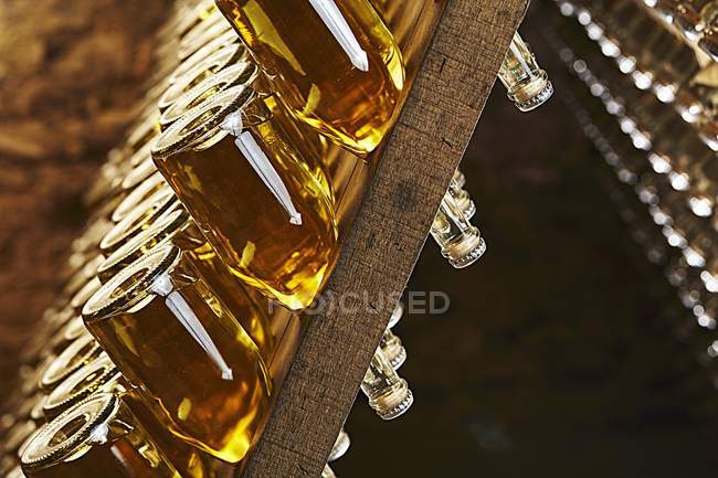 Bottles of champagne on wooden rack — Stock Photo