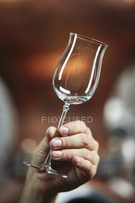 Closeup view of hand holding a schnapps glass — Stock Photo