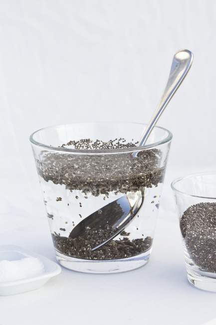 Chia seeds in water — Stock Photo