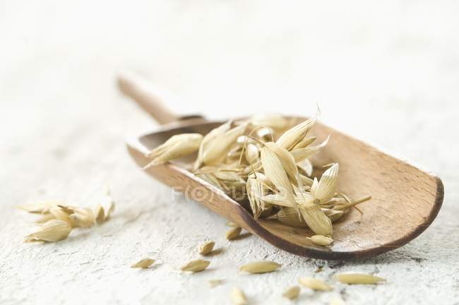 Orejas de trigo en cucharada - foto de stock
