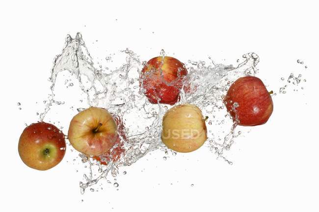Manzanas con salpicaduras de agua - foto de stock