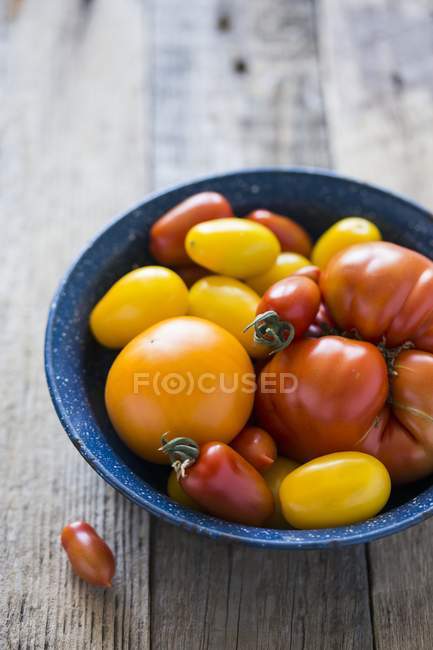 Красные и желтые помидоры в миске — стоковое фото
