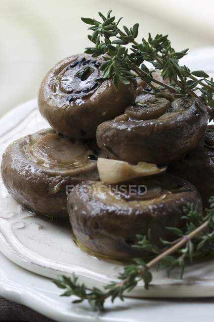 Champiñones marinados con tomillo fresco, alcaravea negra y ajo en plato blanco - foto de stock