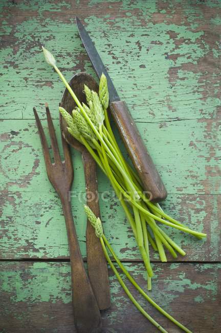 Fresh Wild asparagus — Stock Photo