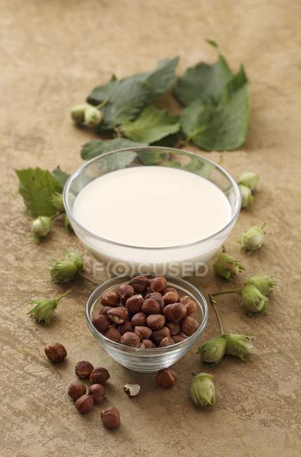 Hazelnut milk and hazelnuts — Stock Photo