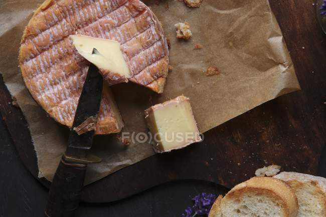 Livarot cheese with slice out — Stock Photo