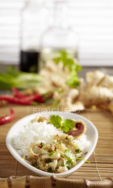 Calamar en salsa picante con arroz - foto de stock