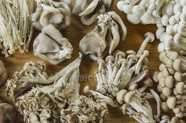 Top view of various fresh, oriental mushrooms on a wooden surface — Stock Photo