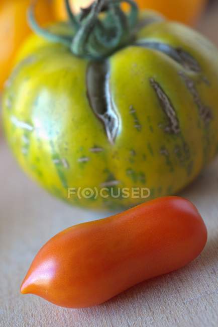 Свіжі дикі і зелені помідори — стокове фото