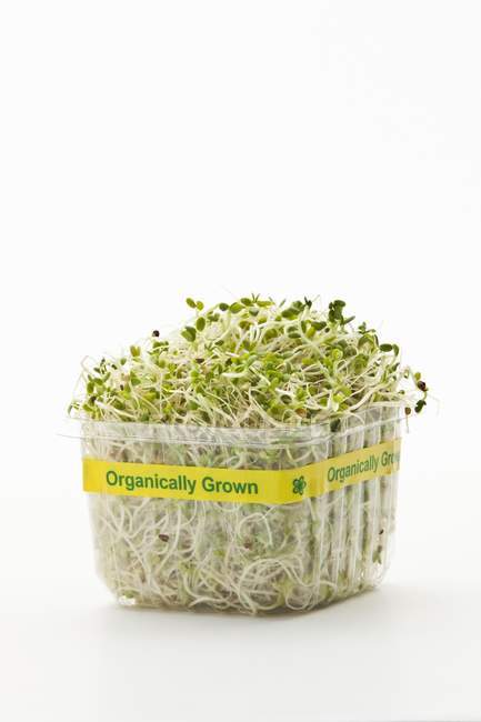 Fresh organic cress — Stock Photo