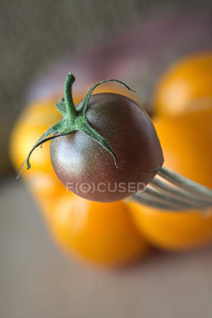 Frische wilde Tomaten auf Gabel — Stockfoto