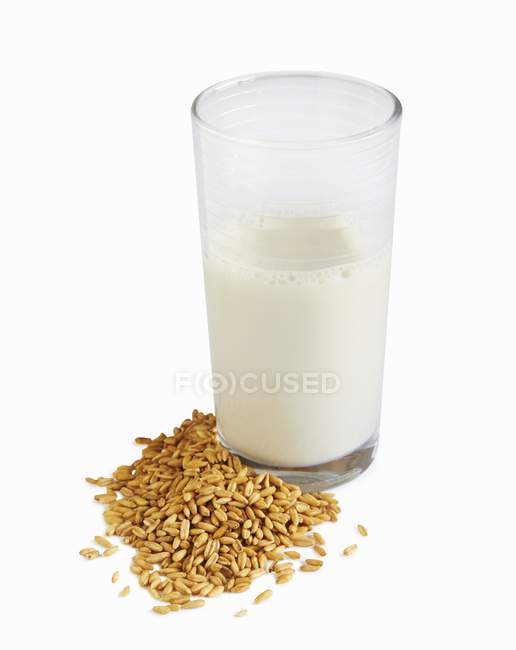 Barley grains and glass — Stock Photo