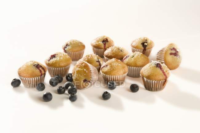 Mini muffins de mirtilo — Fotografia de Stock