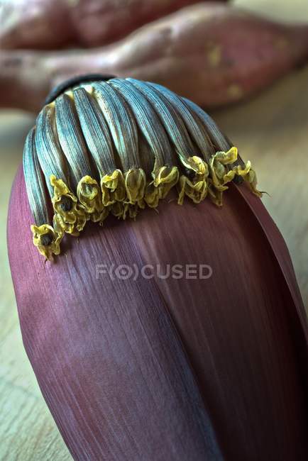 Банановая мука с картошкой — стоковое фото