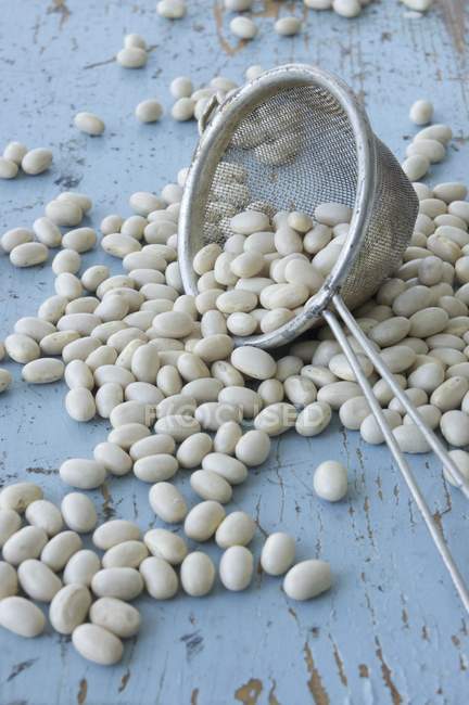 Scattered soya beans with sieve — Stock Photo