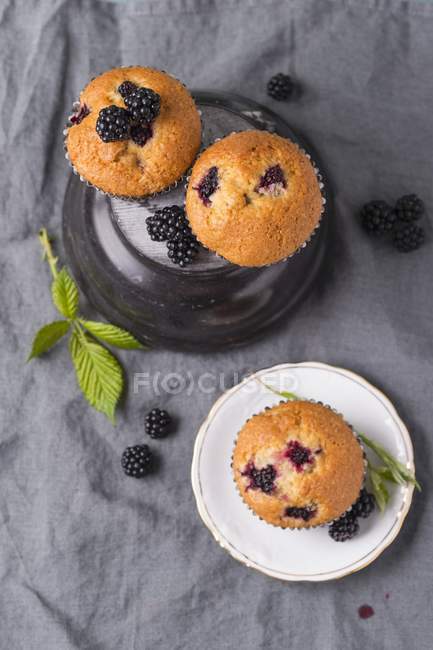 Freshly baked blackberry muffins — Stock Photo