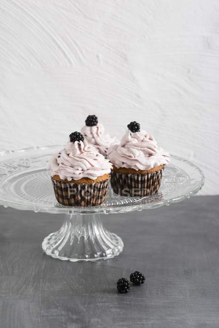 Cupcakes mit Brombeeren und Brombeercreme — Stockfoto
