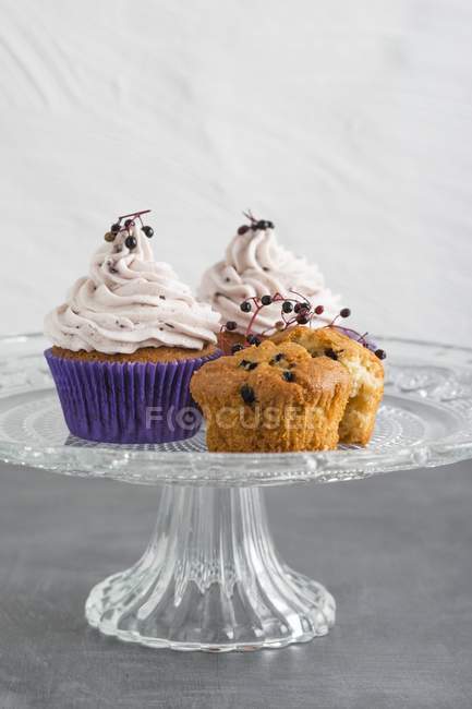 Cupcakes with elderberries and elderberry cream — Stock Photo