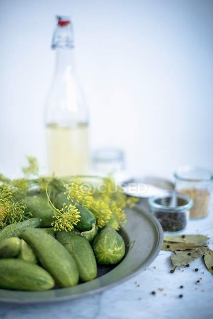 Cucumbers with dill and spices — Stock Photo