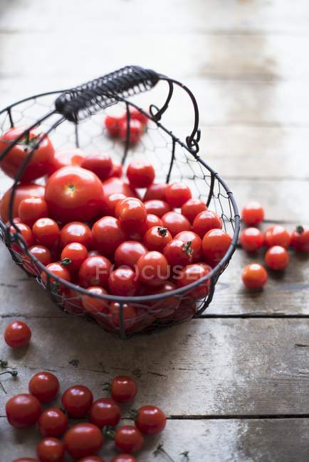 Tomates en cesta de alambre - foto de stock