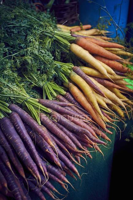 Racimo de zanahorias de color - foto de stock