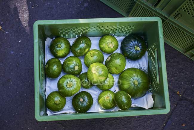 Zucchine rotonde verdi in cassa — Foto stock