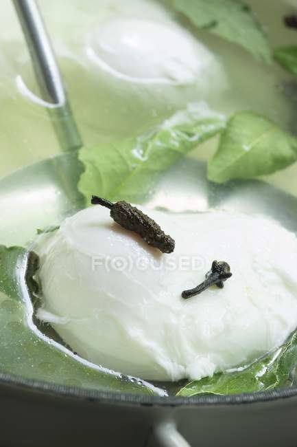 Poached egg on draining spoon — Stock Photo