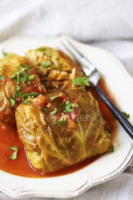 Golabki - Polish cabbage roulade with tomato sauce on white plate with fork — Stock Photo