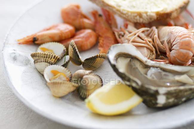 Смешанные морепродукты на тарелке — стоковое фото