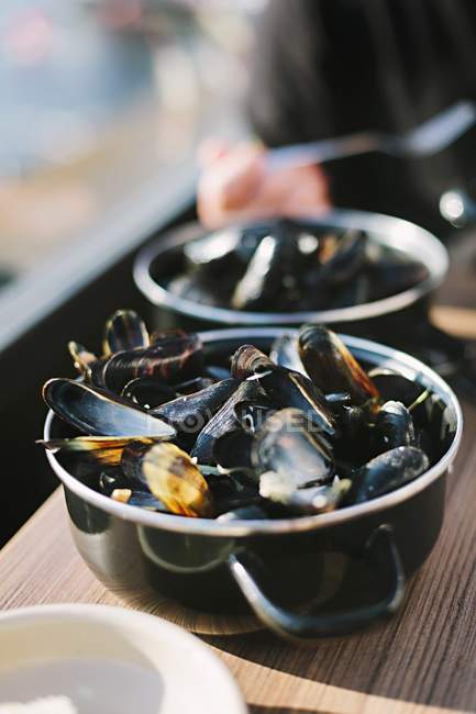 Mussels in white wine — Stock Photo