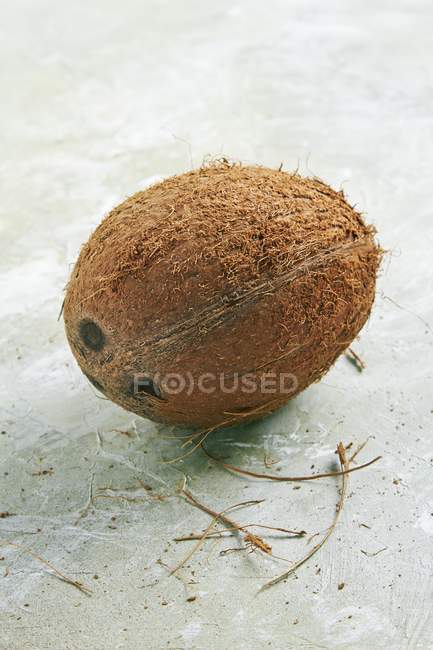 Coco fresco maduro - foto de stock