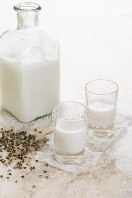 Hemp milk and seeds — Stock Photo