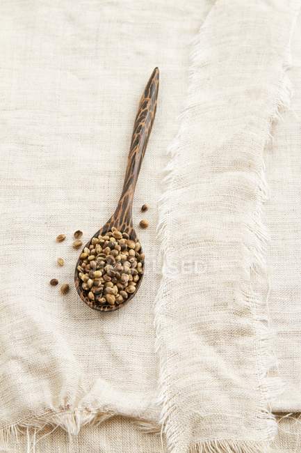 Hemp seeds on textile — Stock Photo