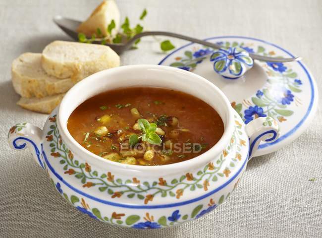 Catalan vegetable soup in patterned bowl — Stock Photo