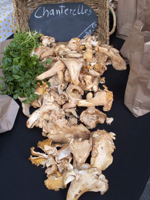 Funghi di finferli in un mercato di agricoltori — Foto stock