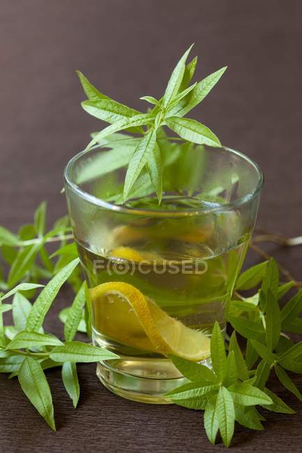 Lemon balm tea — Stock Photo