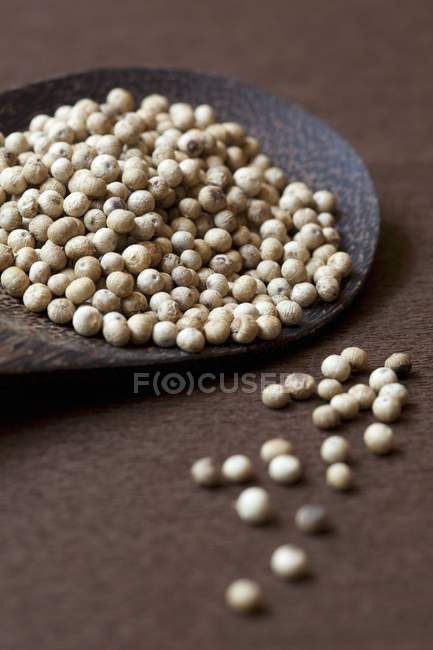 White peppercorns on spoon — Stock Photo