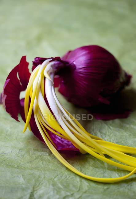 Close up of sprouting red onion — Stock Photo