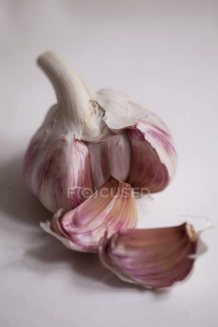 Lampadina all'aglio con chiodi di garofano — Foto stock