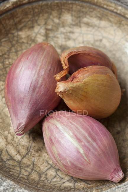 Fresh Red shallots in bowl — Stock Photo
