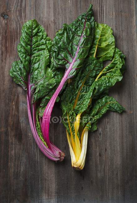 Red and yellow stemmed chard — Stock Photo