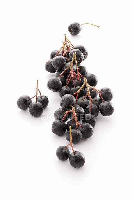 Fresh Aronia berries — Stock Photo